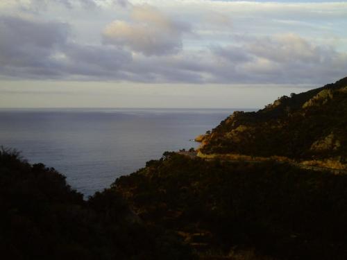 Gal 2009 Giverola058