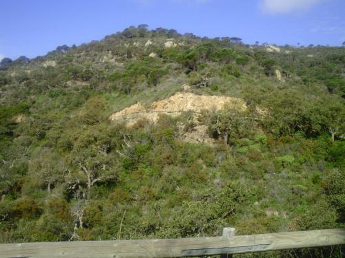 Gal 2009 Giverola121