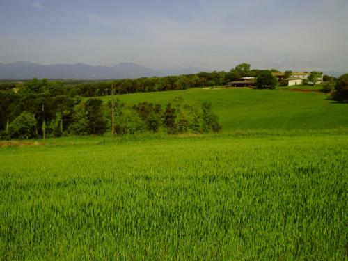 Gal 2009 Giverola135