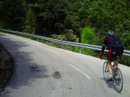 Gal 2009 Giverola151