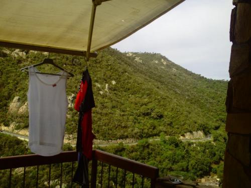 Gal 2009 Giverola173