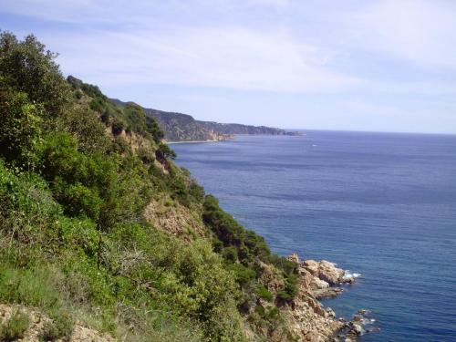 Gal 2009 Giverola202