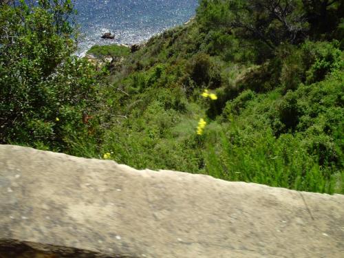 Gal 2009 Giverola205