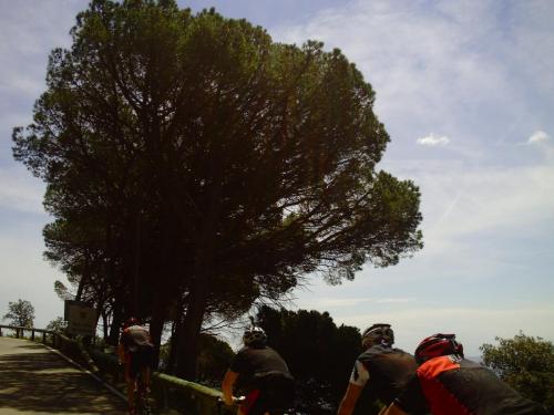 Gal 2009 Giverola220