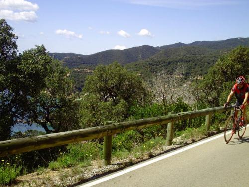 Gal 2009 Giverola223