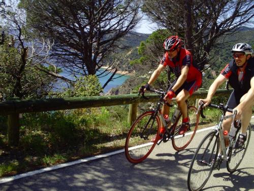 Gal 2009 Giverola225