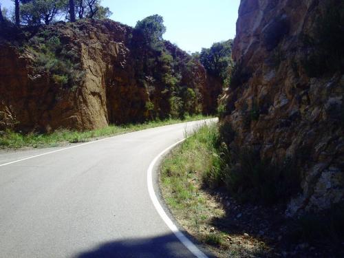 Gal 2009 Giverola265