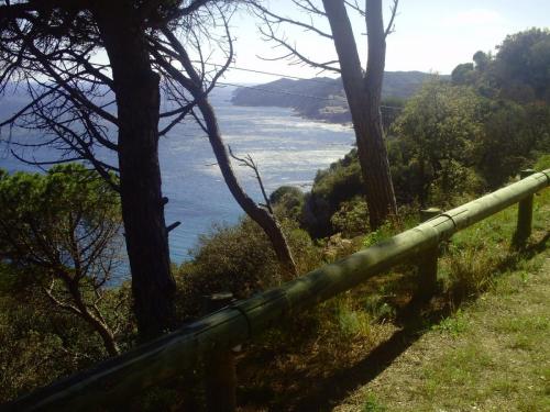 Gal 2009 Giverola269