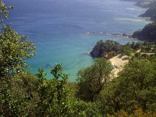 Gal 2009 Giverola274