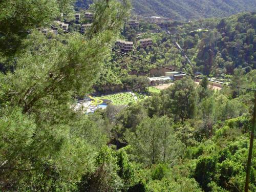 Gal 2009 Giverola279