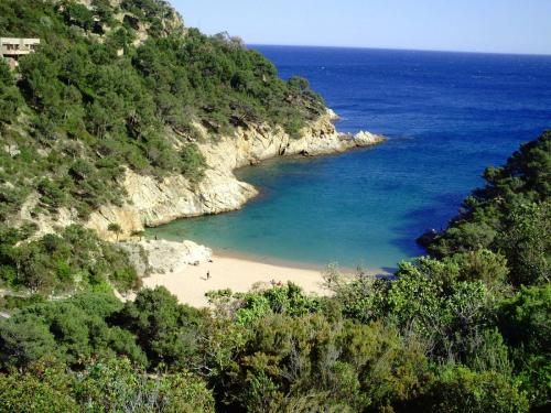 Gal 2009 Giverola280