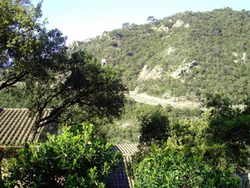 Gal 2009 Giverola327