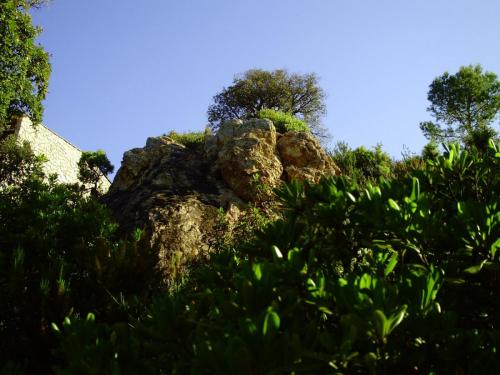 Gal 2009 Giverola330