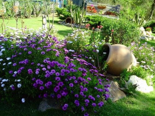 Gal 2009 Giverola342