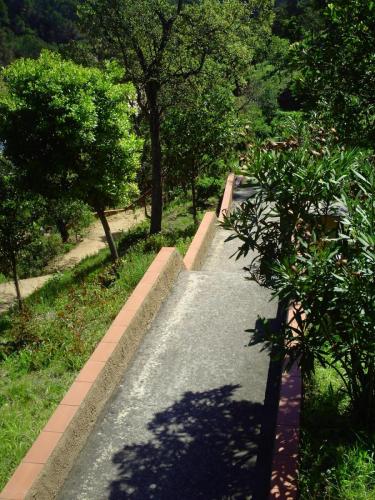 Gal 2009 Giverola352