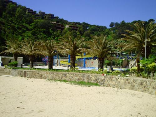 Gal 2009 Giverola374