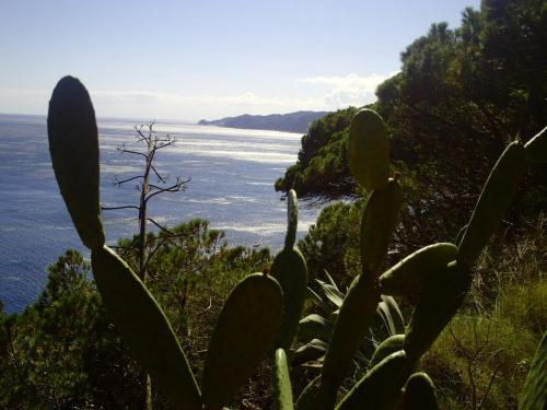 Gal 2009 Giverola404