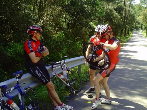 Gal 2009 Giverola406