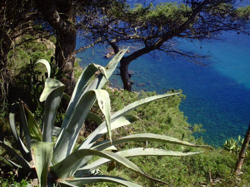 Gal 2009 Giverola416