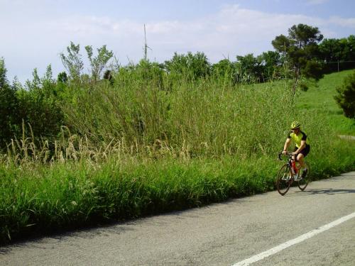 Gal 2010 Riccione0039