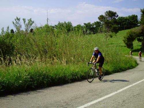 Gal 2010 Riccione0040