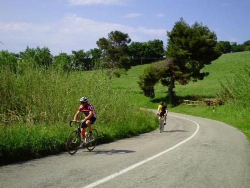 Gal 2010 Riccione0042