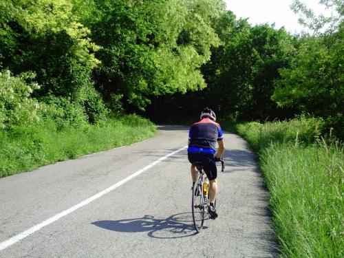 Gal 2010 Riccione0048