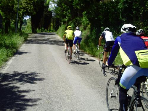 Gal 2010 Riccione0377