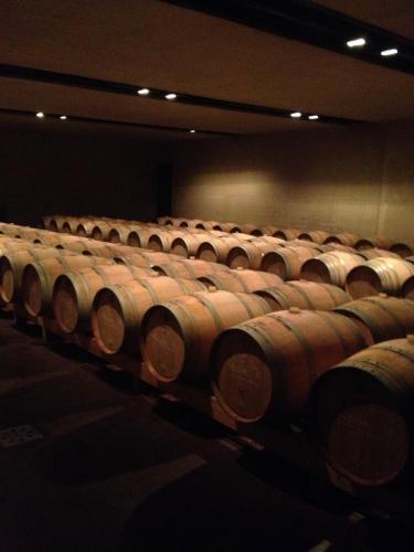 Gal 2015 VeloferienMai570